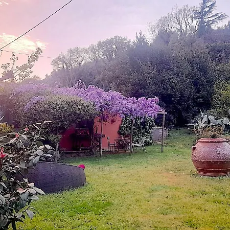 Il Ruscello Pugnano